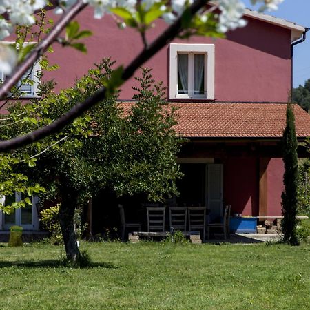 Agriturismo Campoletizia Miglianico Exterior foto