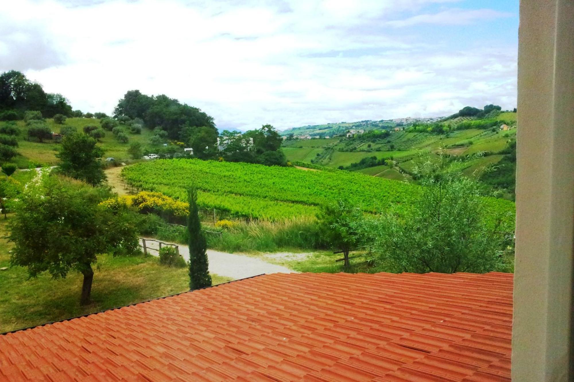 Agriturismo Campoletizia Miglianico Quarto foto